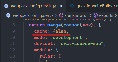 cache set to false in webpack config file